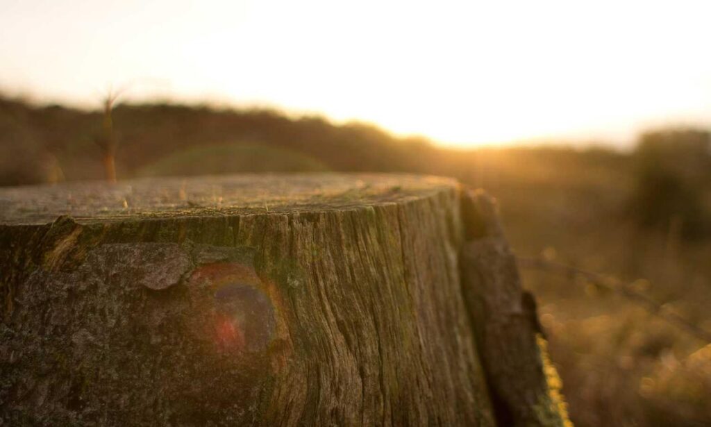 improve software 5984.jfy.587.64 version