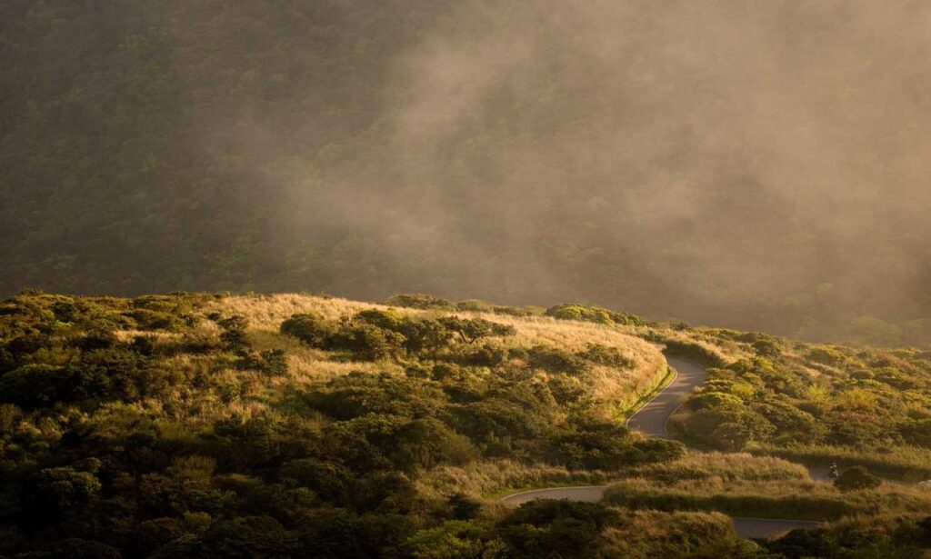 is lescohid herbicide the best for grass