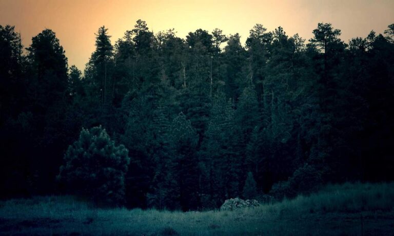 why immorpos35.3 software implementations fail