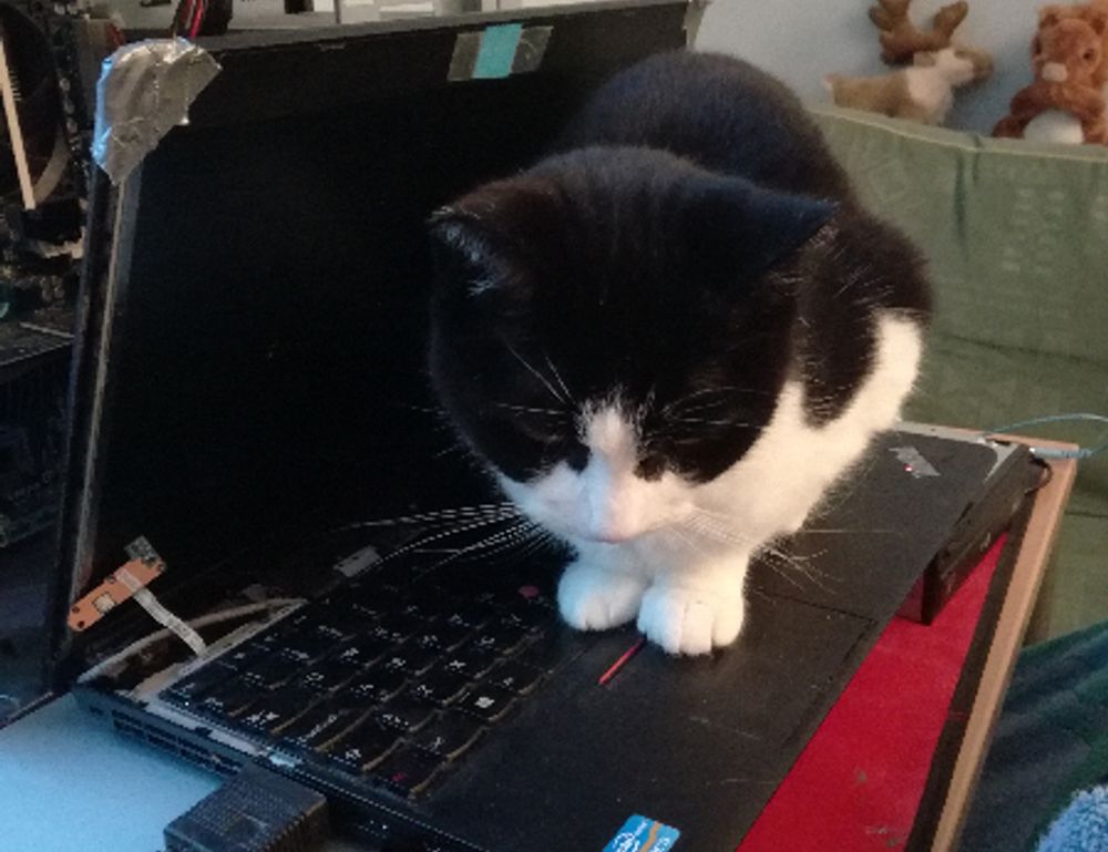 bendera palestin colouring