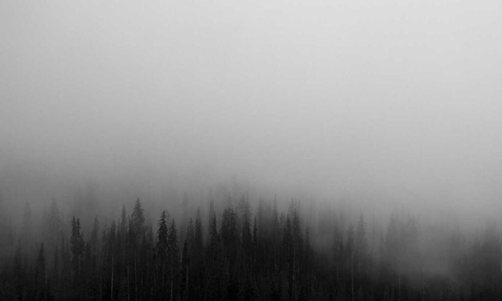 brawl stars kleurplaat squeak