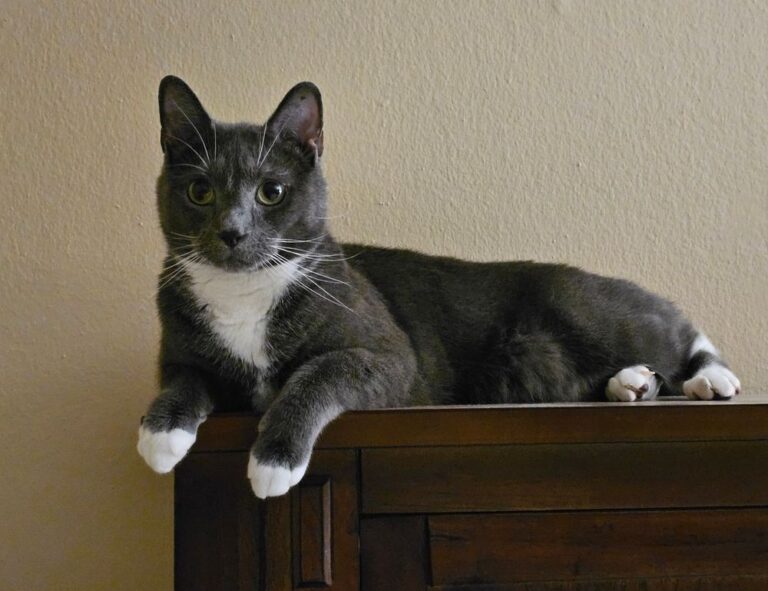 letras antiguas bonitas