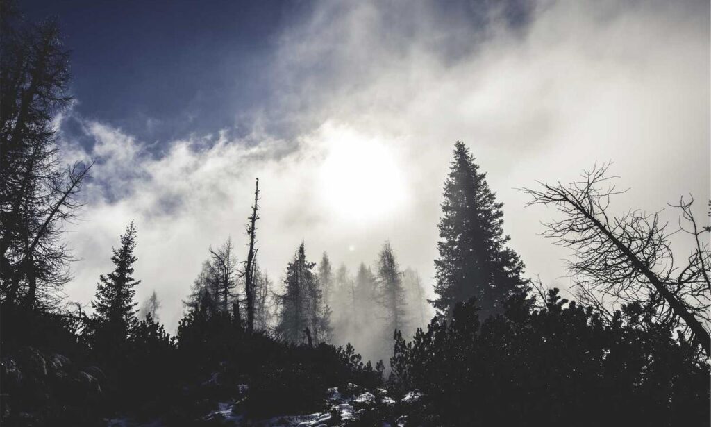 molly and jordy onlyfans