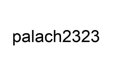 palach2323