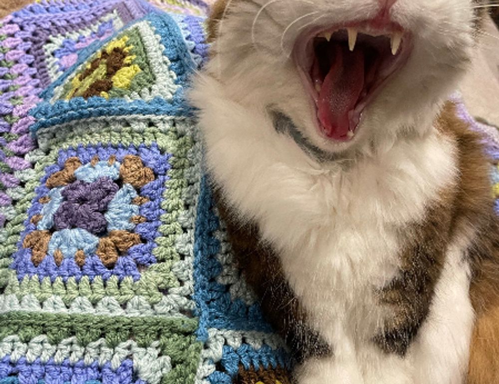 quinchos cerrados sencillos