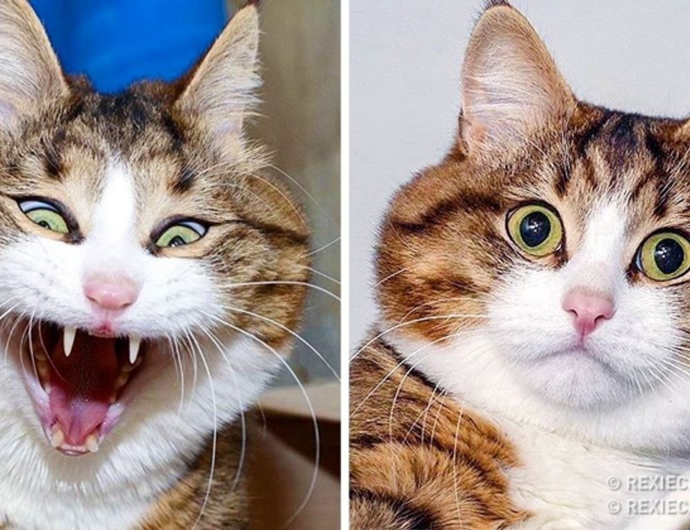 sophiesouth onlyfans