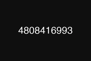 4808416993