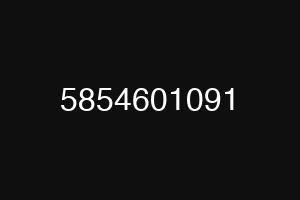 5854601091
