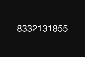 8332131855