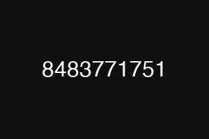 8483771751