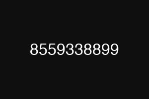 8559338899
