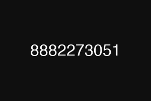 8882273051