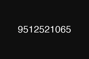 9512521065