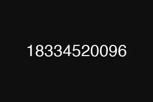 18334520096