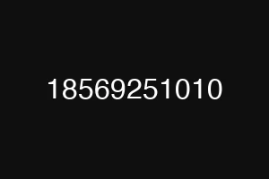 18569251010