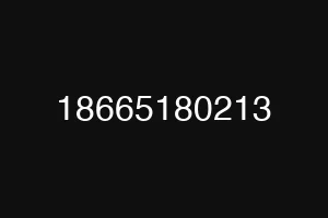 18665180213
