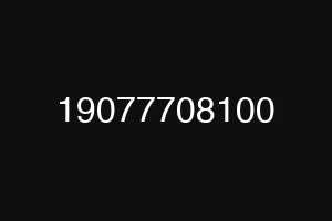 19077708100