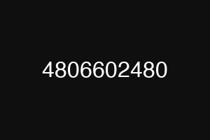 4806602480