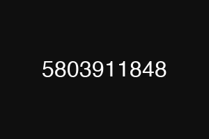 5803911848