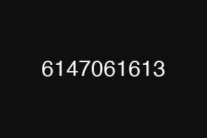 6147061613