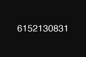 6152130831