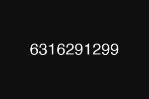 6316291299