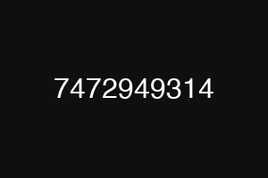 7472949314
