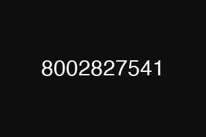 8002827541