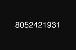 8052421931
