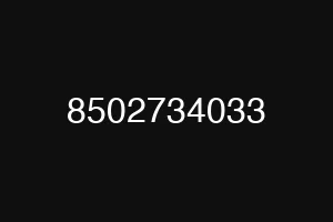 8502734033