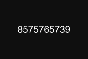 8575765739