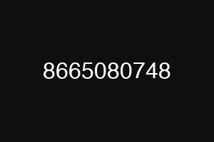 8665080748