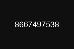 8667497538