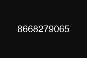 8668279065